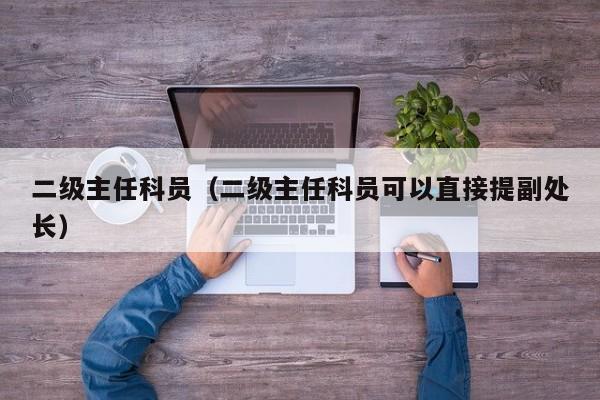 二级主任科员（二级主任科员可以直接提副处长）