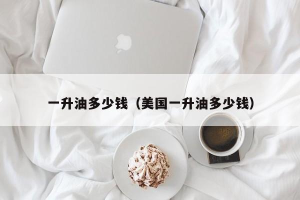 一升油多少钱（美国一升油多少钱）