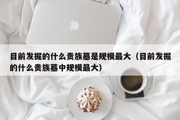 目前发掘的什么贵族墓是规模最大（目前发掘的什么贵族墓中规模最大）
