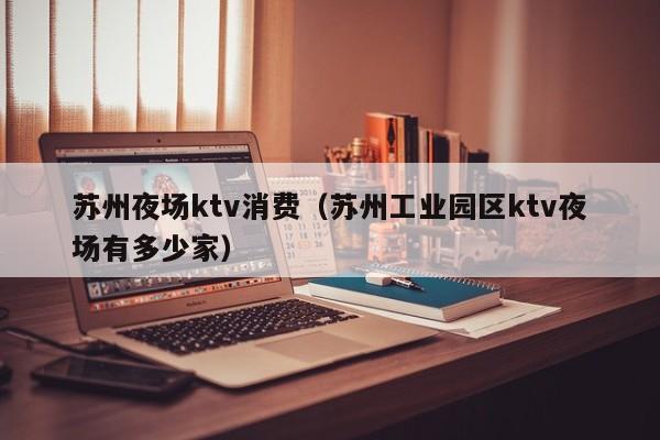 苏州夜场ktv消费（苏州工业园区ktv夜场有多少家）