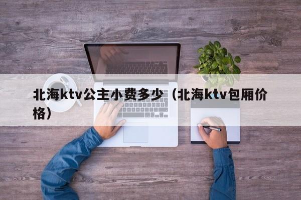 北海ktv公主小费多少（北海ktv包厢价格）