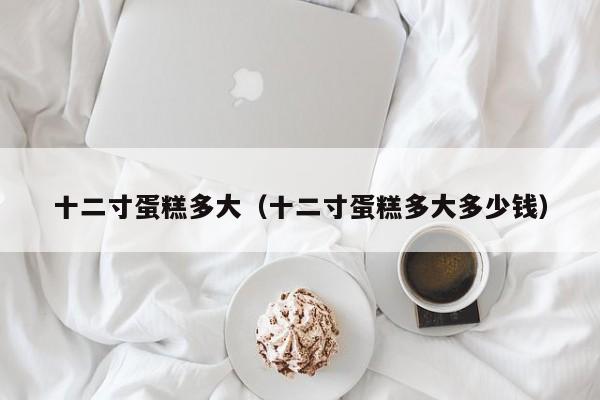 十二寸蛋糕多大（十二寸蛋糕多大多少钱）