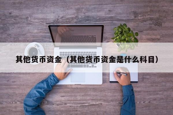 其他货币资金（其他货币资金是什么科目）